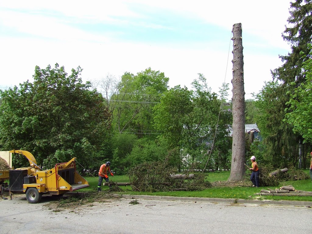 Joels Tree Service | 5009 Line 6, St. Marys, ON N4X 1C8, Canada | Phone: (519) 272-5742