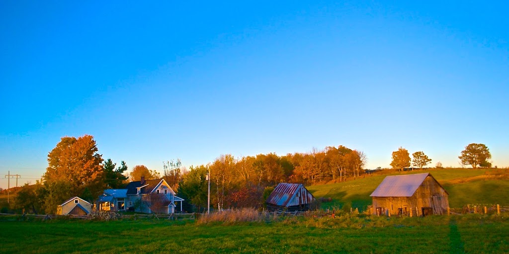 Marlborough Farm | Stoughton Sideroad, Calabogie, ON K0J 1H0, Canada | Phone: (613) 852-2940