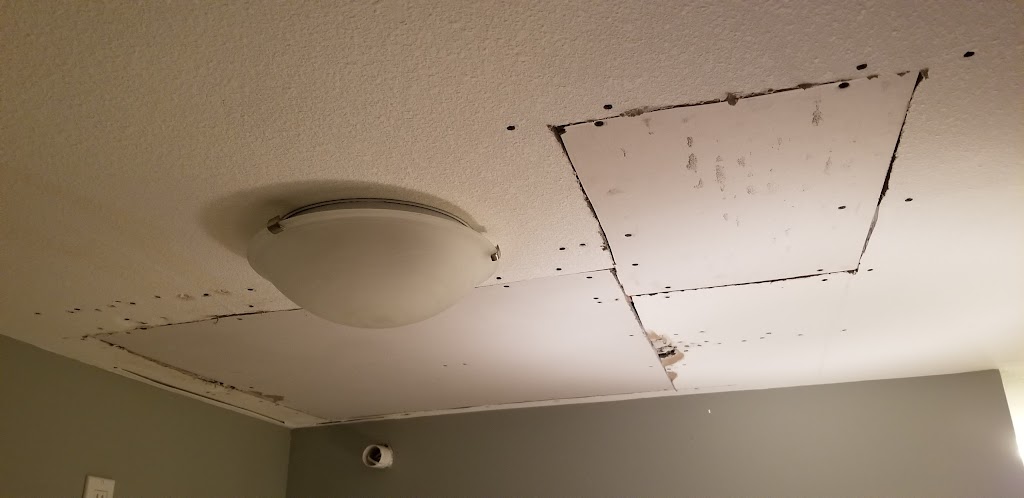 Texture Pro Drywall Ceiling Texturing & Repairs | 18759 61a Ave, Surrey, BC V3S 7P2, Canada | Phone: (604) 619-7070