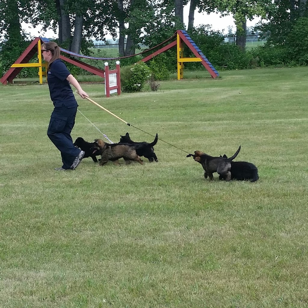 Police Dog Service Training Centre | Queen Elizabeth II Highway, Innisfail, AB T4G 1S8, Canada | Phone: (403) 227-3346