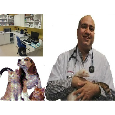 Richmond Veterinary House Call Services | 105 Lacewood Dr, Richmond Hill, ON L4S 0E6, Canada | Phone: (647) 873-3194