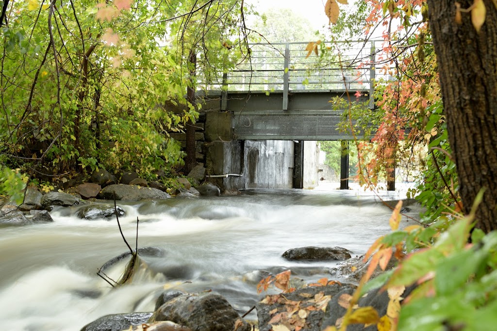 Parc île de la visitation | 2263 Pl. Étienne-Brûlé, Montréal, QC H2B 1Z3, Canada | Phone: (514) 280-6733