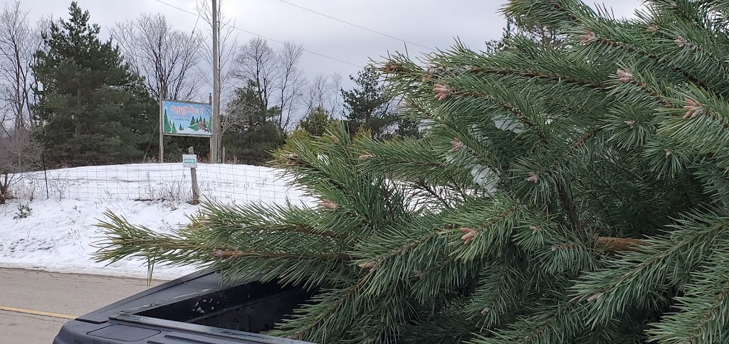 Forestells Christmas Trees | 4556 Sideroad 20 N, Puslinch, ON N0B 2J0, Canada | Phone: (519) 831-1942