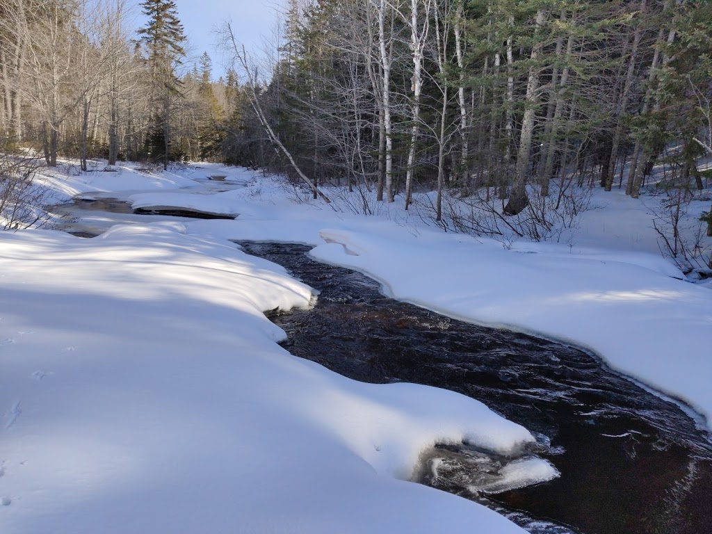 Mill Creek Nature Park | Riverview, NB E1B 5J5, Canada | Phone: (506) 387-2024