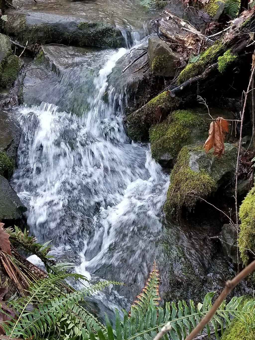 Mouat Park | Rainbow Rd, Salt Spring Island, BC V8K 2V8, Canada