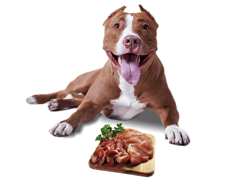 Boucherie K9- Livraison de nourriture crue pour chien | 3672 Boulevard de la Concorde E, Laval, QC H7E 2C9, Canada | Phone: (514) 583-3876