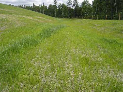 Verdyol Biotic Earth - Hydroseeding Manufacturer & Supplier | Box 69, Riverton, MB R0C 2R0, Canada | Phone: (204) 378-2142