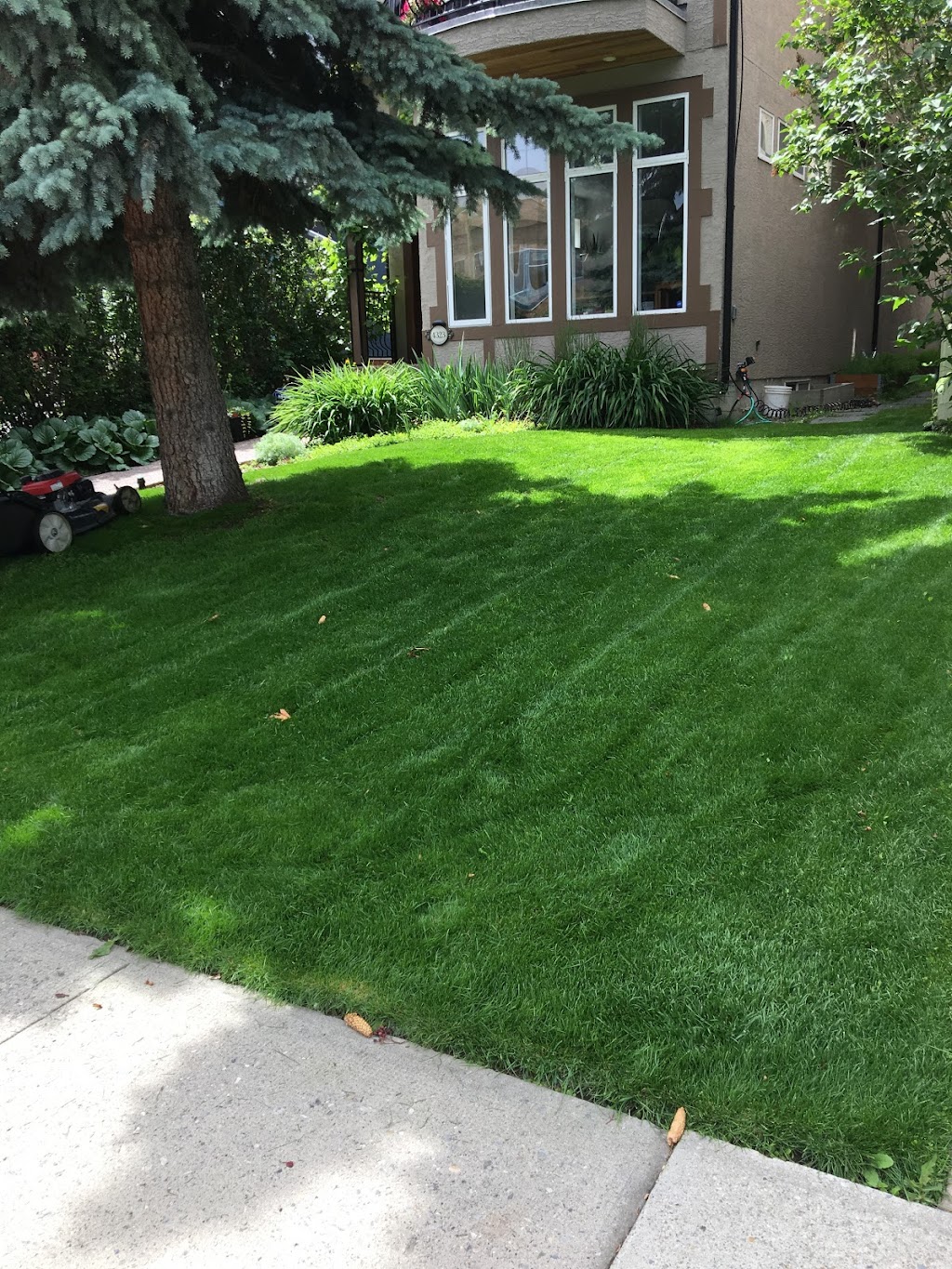 Lawn ‘N’ Order | 7703 68 Ave NW, Calgary, AB T3B 4P4, Canada | Phone: (403) 852-2988