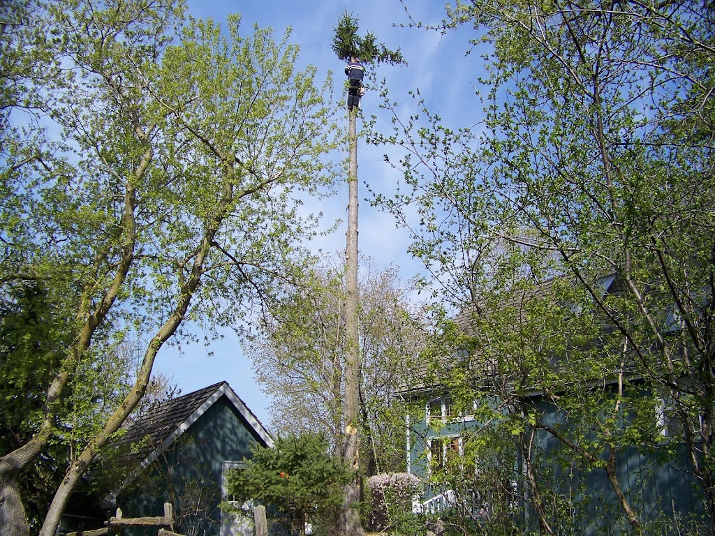 Skyline Tree Service Limited | 5095 Wixson St, Claremont, ON L1Y 1B6, Canada | Phone: (905) 649-3778