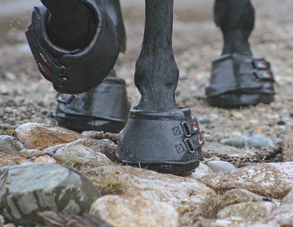 Cavallo Hoof Boots | 1714 Lockyer Rd, Roberts Creek, BC V0N 2W1, Canada | Phone: (877) 818-0037