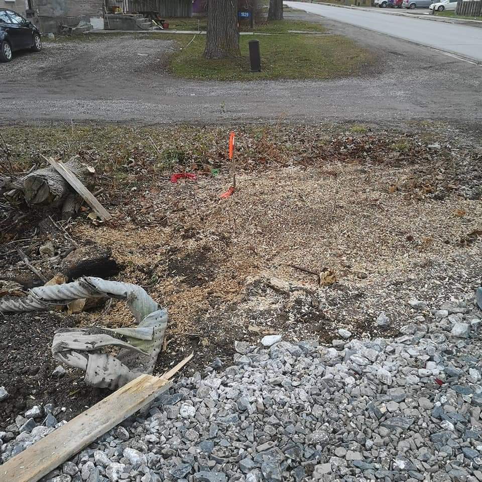 Mudcat Milling & Stump Grinding Services | 2548 Cayuga Rd, Ohsweken, ON N0A 1M0, Canada | Phone: (519) 209-5658