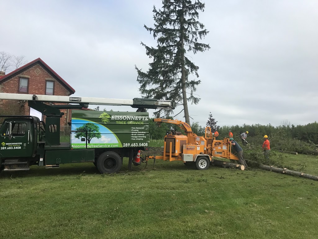 Bissonnette Tree Service | 1175 Haldibrook Rd, Caledonia, ON N3W 1N5, Canada | Phone: (289) 683-5408