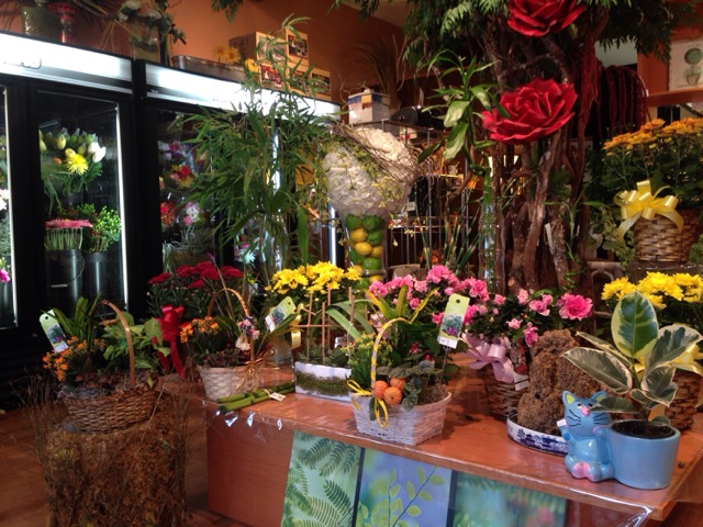 Roys florist | 710 Notre Dame Ave, Winnipeg, MB R3E 0L7, Canada | Phone: (204) 786-5791