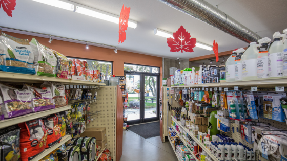 All For Pets | 5641 Cowrie St, Sechelt, BC V0N 3A0, Canada | Phone: (604) 885-8843