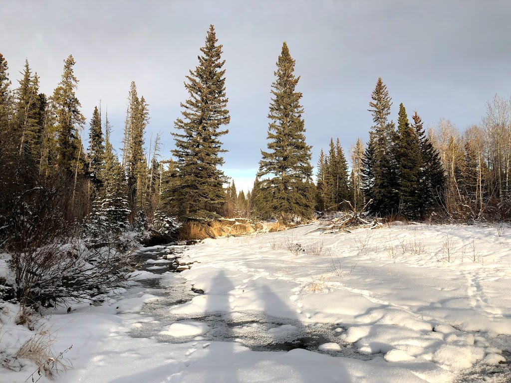 West Bragg Creek Day Use Area | Kananaskis, AB T0L 0K0, Canada