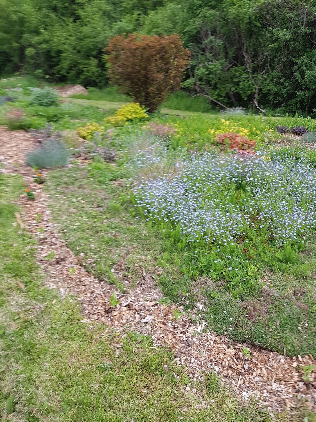 Monarch Waystation Butterfly Garden | Northglen, Oshawa, ON L1J 5A3, Canada