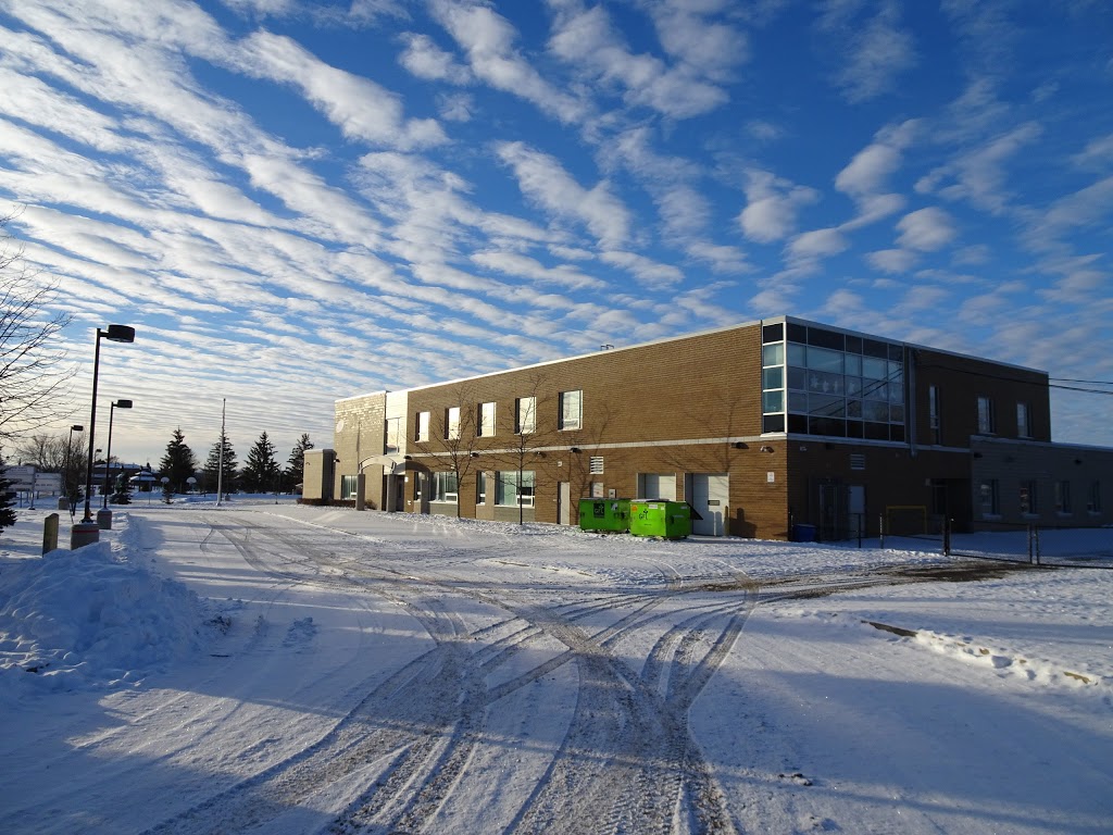 Harry Bowes Public School | 90 Greenwood Rd, Whitchurch-Stouffville, ON L4A 0N9, Canada | Phone: (905) 640-9856