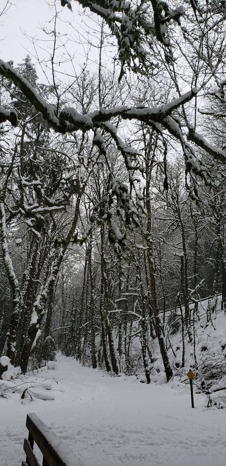 Goldstream Nature House | 3400 Trans-Canada Hwy, Victoria, BC V9B 6H6, Canada | Phone: (250) 478-9414