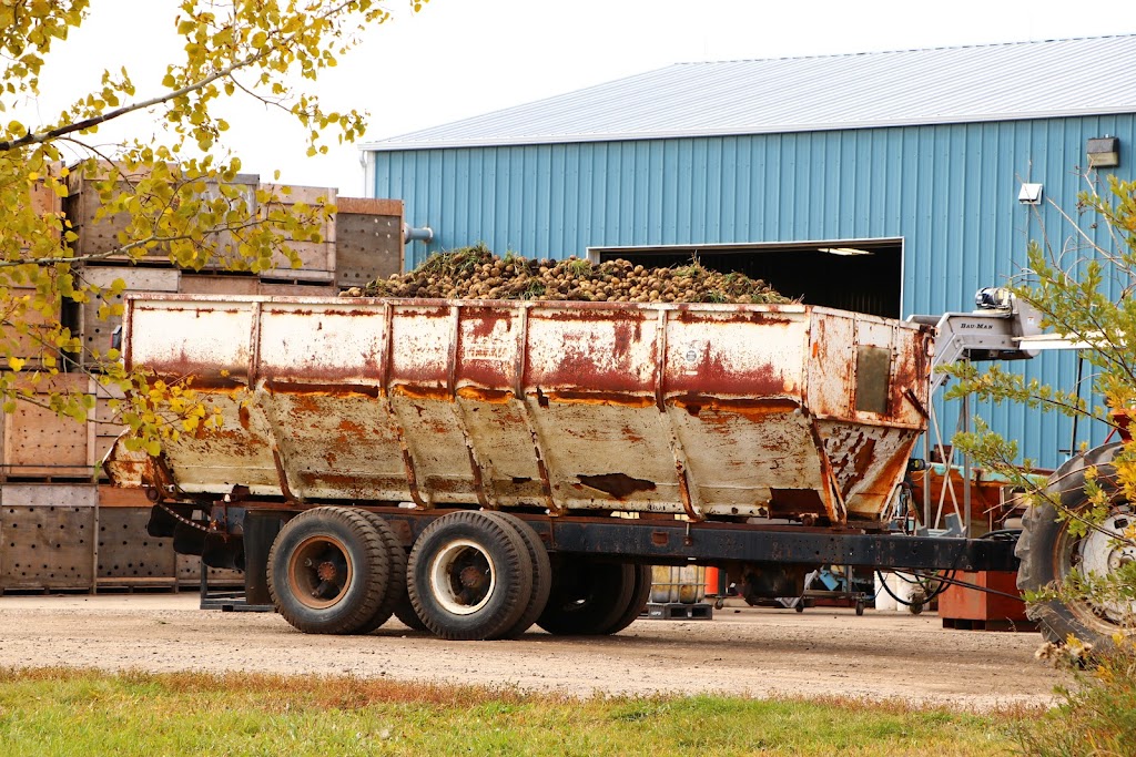 Poplar Bluff Organics | #253028, Township Rd 230, AB T1P 0T2, Canada | Phone: (403) 934-5400