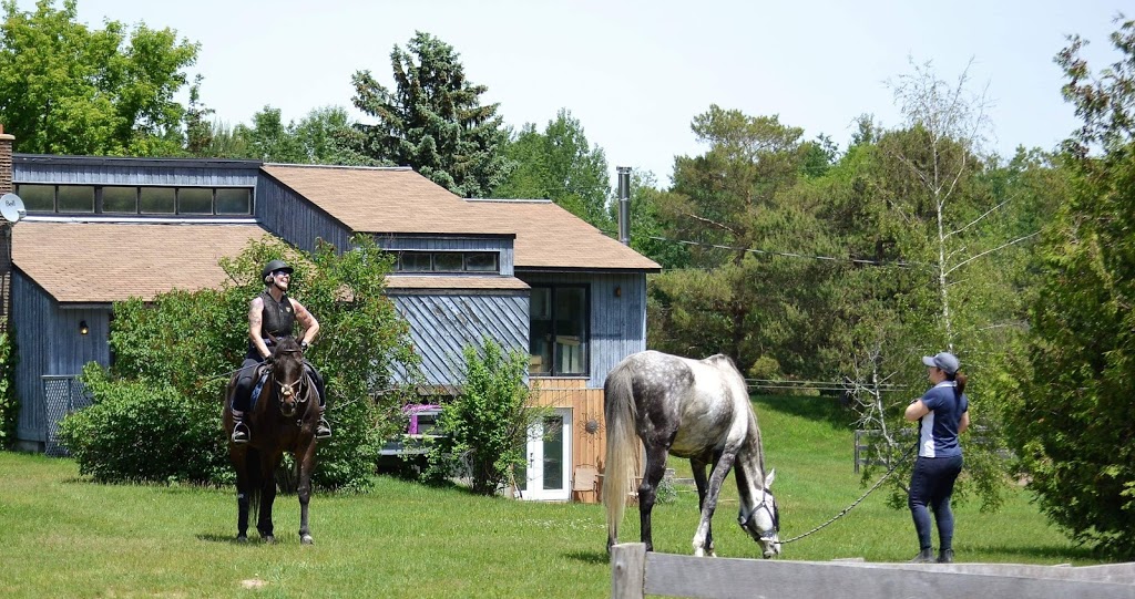 Hess Equestrian | 7790 Concession Rd 5, Uxbridge, ON L9P 1R1, Canada | Phone: (905) 649-0449