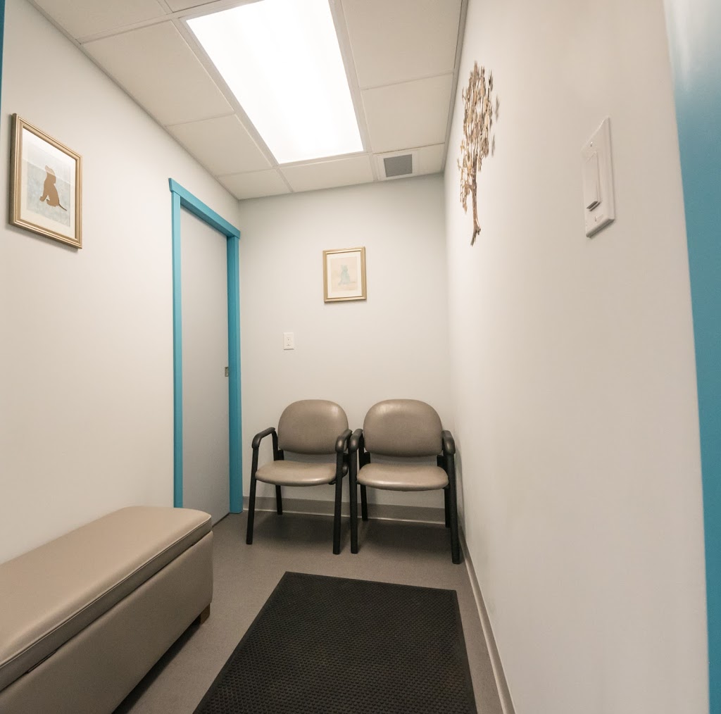 Edmonton Community Veterinary Clinic | 12701 119 St NW, Edmonton, AB T5E 5M2, Canada | Phone: (587) 635-5333