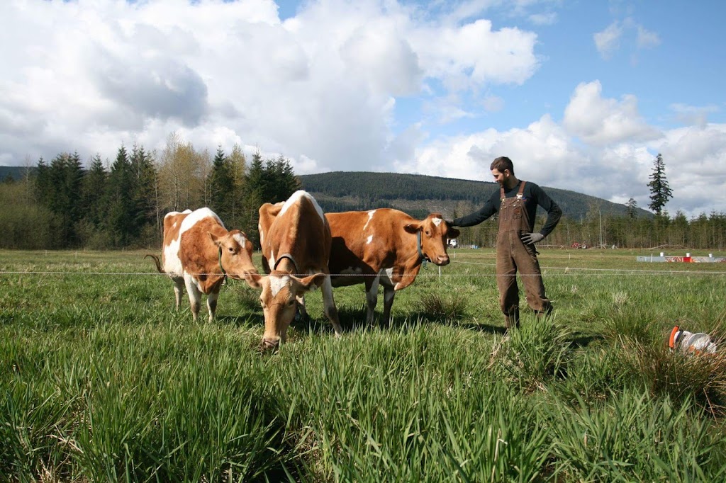 Lost Savanna Farm | 7521 Sturgess Rd, Black Creek, BC V9J 1G7, Canada | Phone: (250) 202-2729