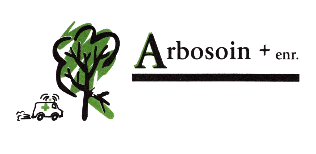 Arbosoin Plus | 6655 Rue Chatelain, Montréal, QC H1T 2L1, Canada | Phone: (514) 238-1970