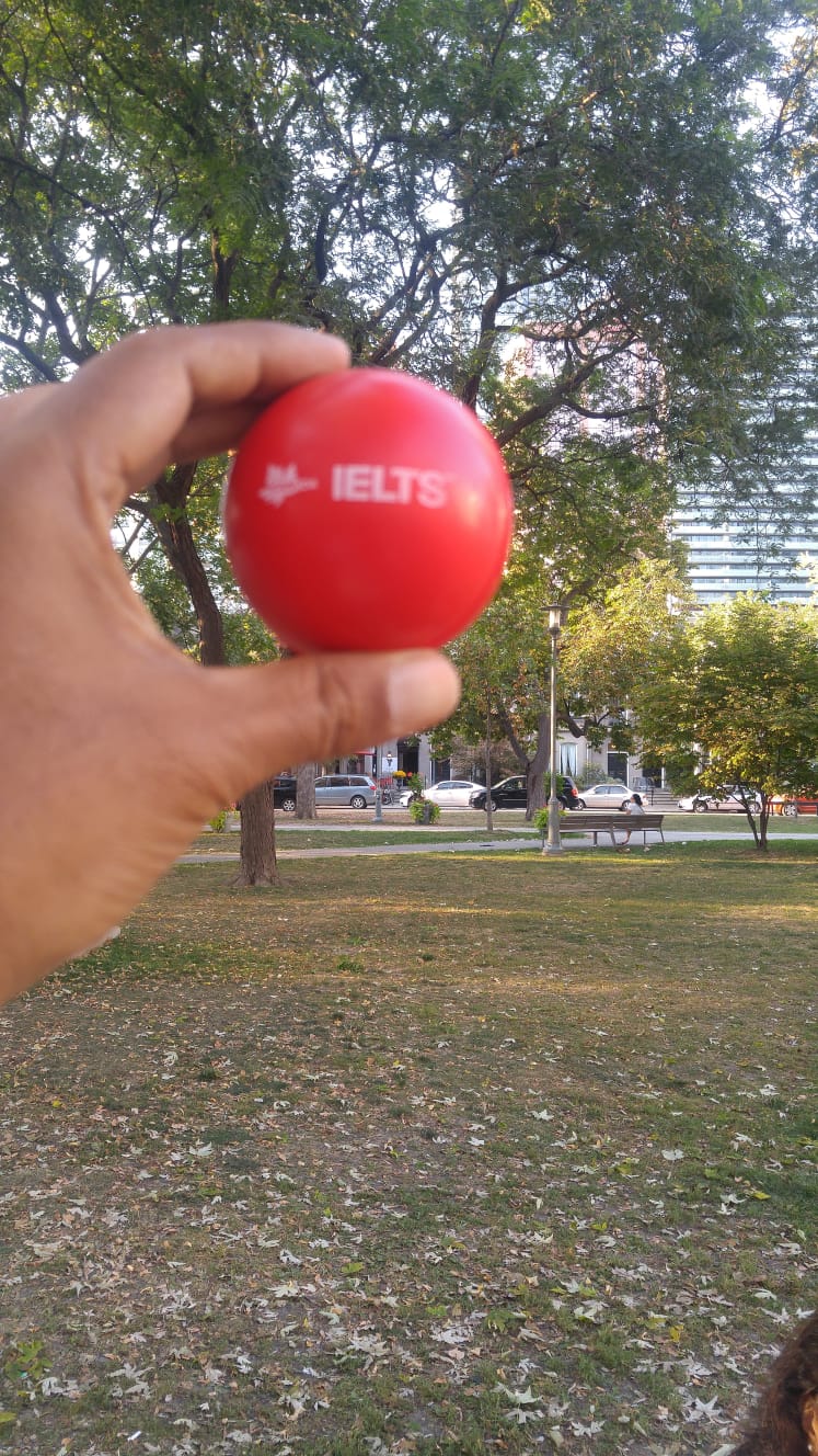 IELTS 9.0 TARGET TRAINING | Milner And Markham, 1504 Markham Rd, Scarborough, ON M1B 2V9, Canada | Phone: (647) 786-8908