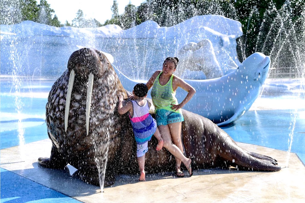 Polar Splash | MarineLand, 7657 Portage Rd, Niagara Falls, ON L2E 6X8, Canada | Phone: (905) 356-9565