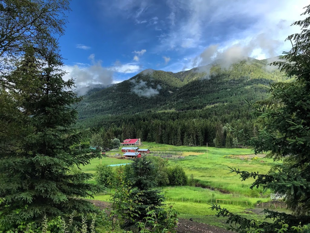 Epona Rise Retreat Center @ Tod Mountain Cabins | 3968 Heffley Louis Creek Rd, Heffley Creek, BC V0E 1Z1, Canada | Phone: (250) 578-0226