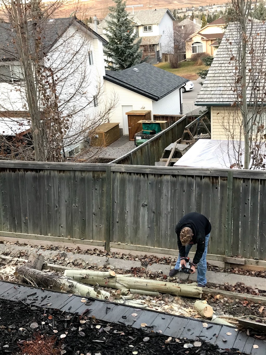 Cochrane Small Tree Pruning | 52 Bow Ridge Dr, Cochrane, AB T4C 1V5, Canada | Phone: (403) 505-9615