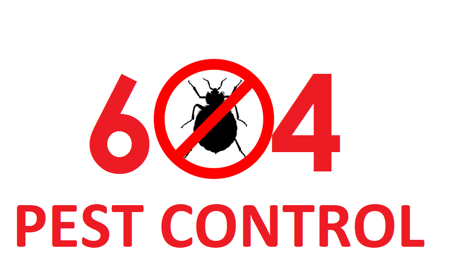 604 Pest Control | 15562 104 Ave, Surrey, BC V3R 1R4, Canada | Phone: (604) 906-2604