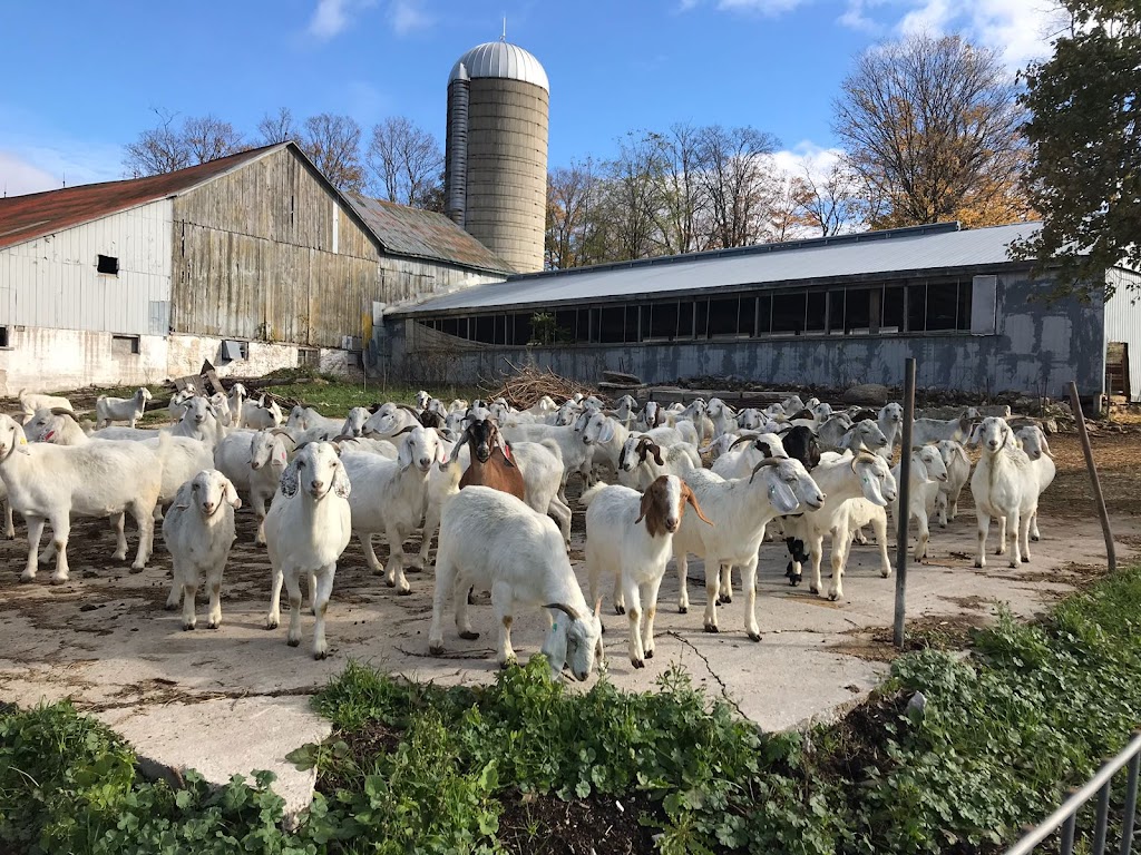 Farm on The Lake | 170404 Centre Rd, Georgian Bluffs, ON N0H 2T0, Canada | Phone: (519) 534-3545