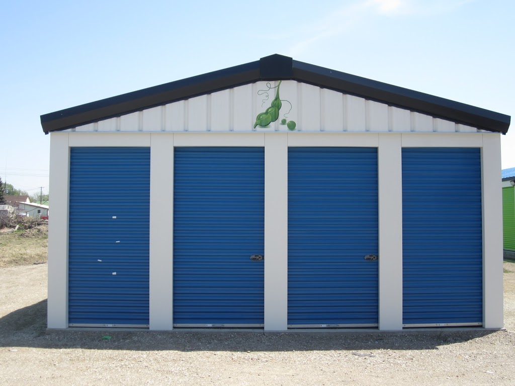 Peapod Self Storage | 6 Arnold St, Wallaceburg, ON N8A 0A2, Canada | Phone: (519) 355-8032