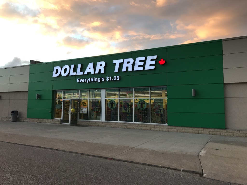 Dollar Tree | 5862 Malden Rd, Windsor, ON N9H 1S4, Canada | Phone: (519) 972-5202