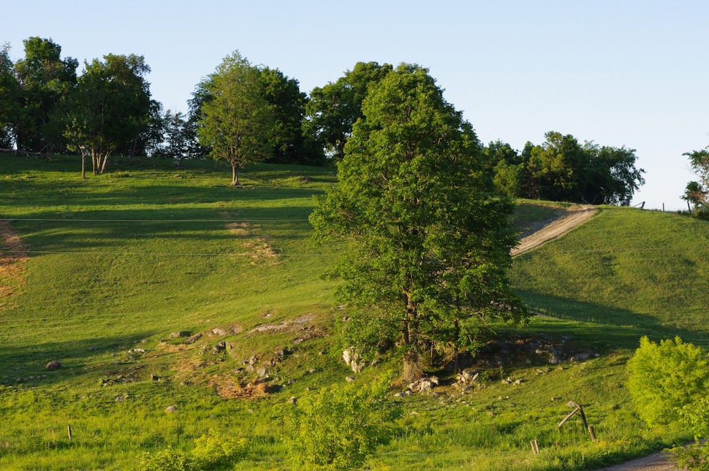 Ferme Sage | 157 Chem. Sage, Lac-Sainte-Marie, QC J0X 1Z0, Canada | Phone: (819) 467-2979