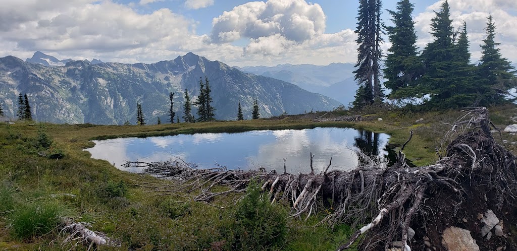 Mustang Powder Lodge | 5440 Avoca West Rd, Malakwa, BC V0E 2J0, Canada | Phone: (250) 679-8125