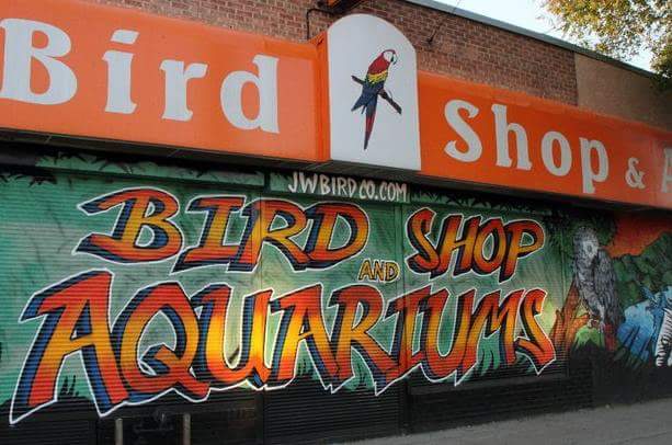 Bird Shop & Aquariums | 1034 Main St, Winnipeg, MB R2W 3R1, Canada | Phone: (204) 582-1370