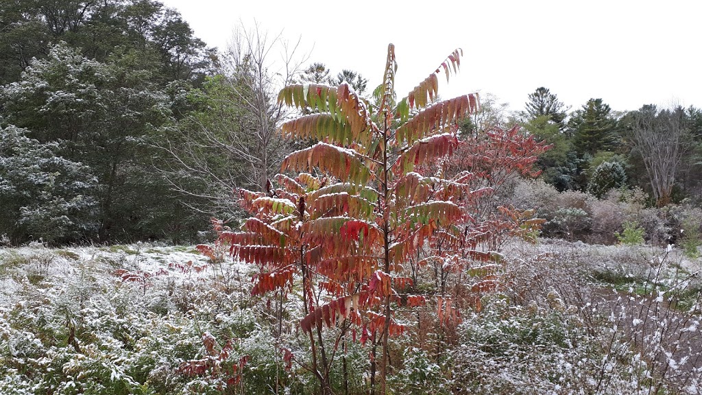 Greenwood Conservation NORTH Entrance | 5th Concession Rd, Pickering, ON L0H 1H0, Canada