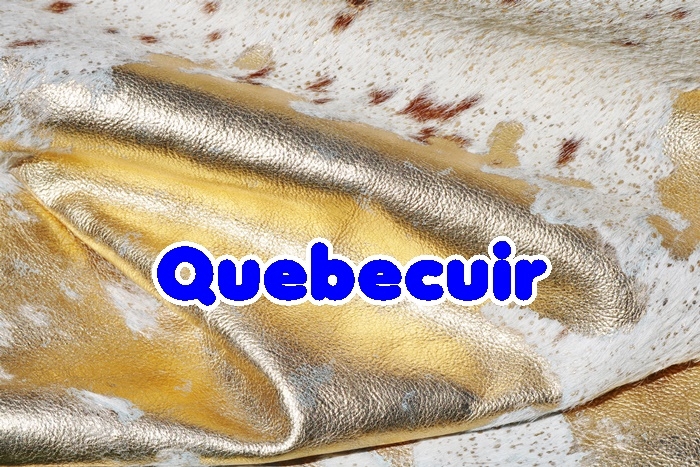 Quebecuir | 515 Rue Lavergne, Laval, QC H7X 3L7, Canada | Phone: (438) 878-9678