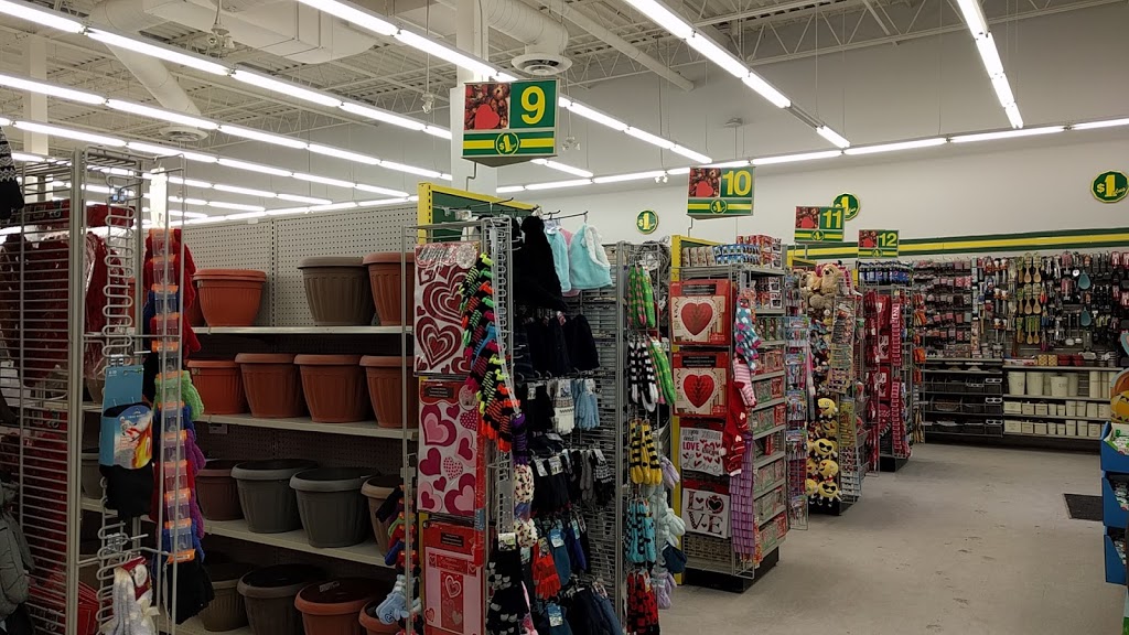 Dollarama | 8190 Bayview Ave Bayview Lane Plaza, Thornhill, ON L3T 2S2, Canada | Phone: (905) 695-1001