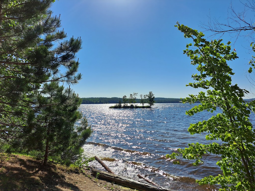 Driftwood Provincial Park | 39520 ON-17, Stonecliffe, ON K0J 2K0, Canada | Phone: (613) 586-2553