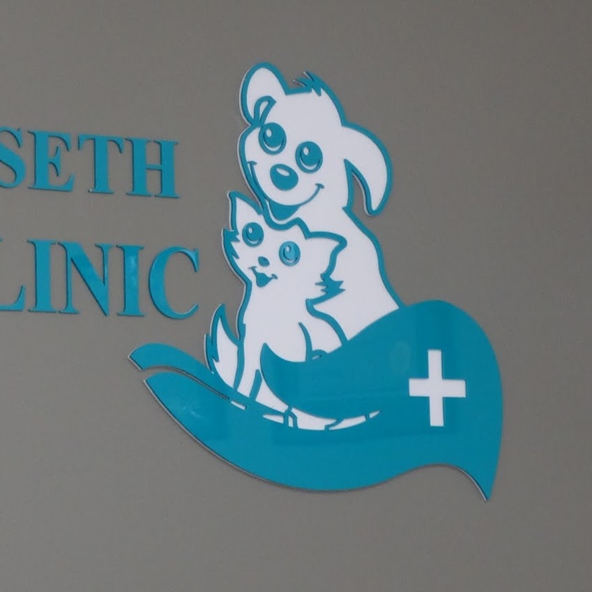 New Tecumseth Animal Clinic | 33 Tottenham Rd, Alliston, ON L9R 1J9, Canada | Phone: (705) 250-7500