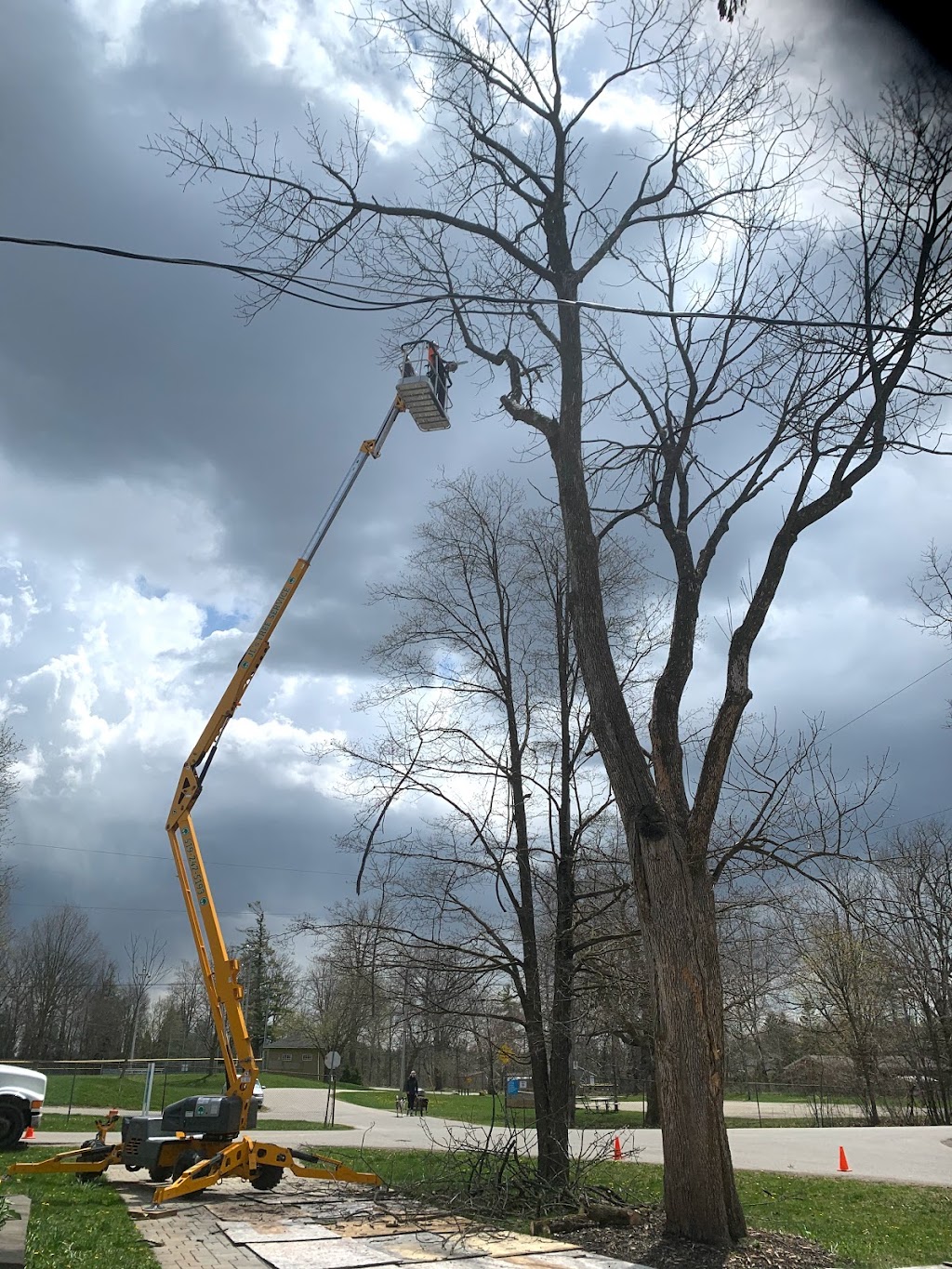 JLs Tree Service | 6149 Guelph St, Fergus, ON N1M 3E3, Canada | Phone: (519) 242-5193