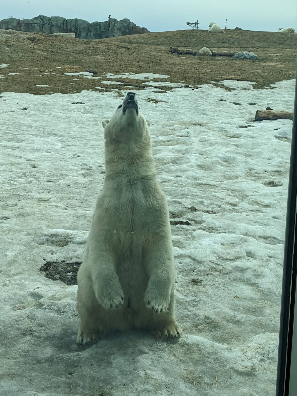 Journey to Churchill | Assiniboine Park, Winnipeg, MB R3P 2N7, Canada | Phone: (204) 927-6000