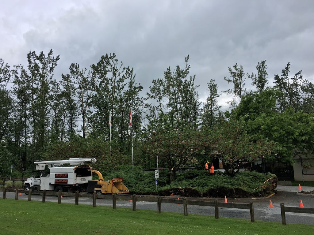 Arsenault Tree Service | 33746 Best Ave, Mission, BC V2V 6Z9, Canada | Phone: (604) 820-8842