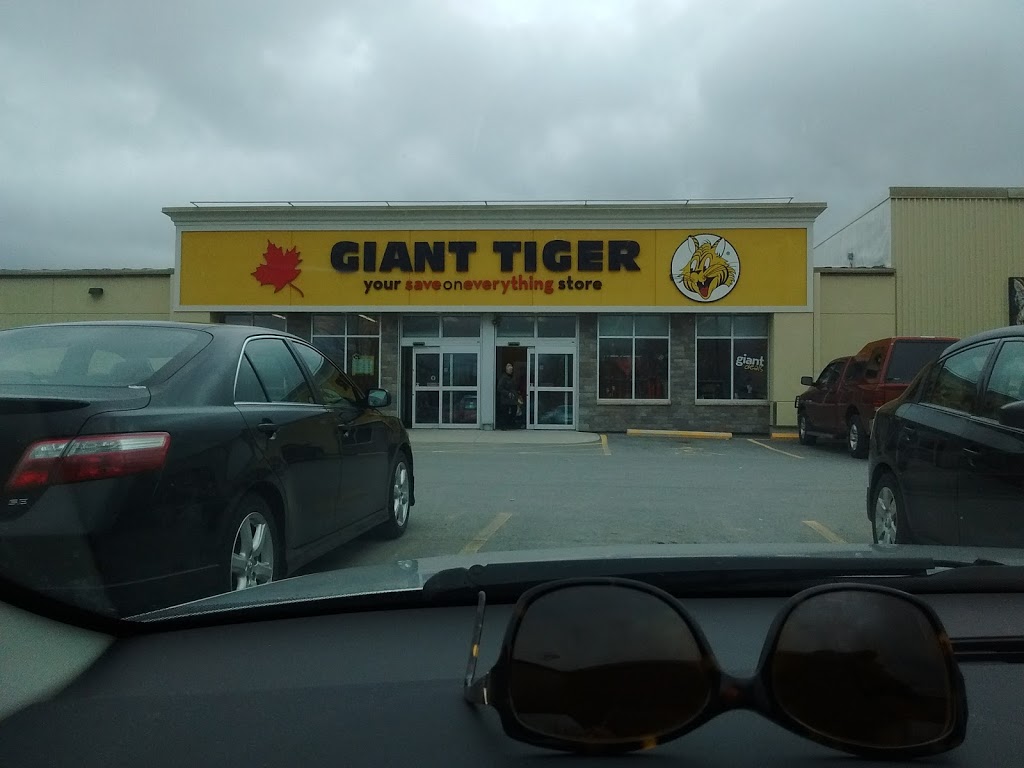 Giant Tiger | 88 Dufferin St, Perth, ON K7H 3A7, Canada | Phone: (613) 267-6621