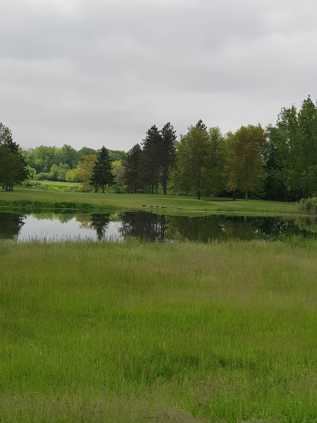 Pelham Hills Golf Club | 196 Webber Rd, Welland, ON L3B 5N8, Canada | Phone: (905) 735-6768