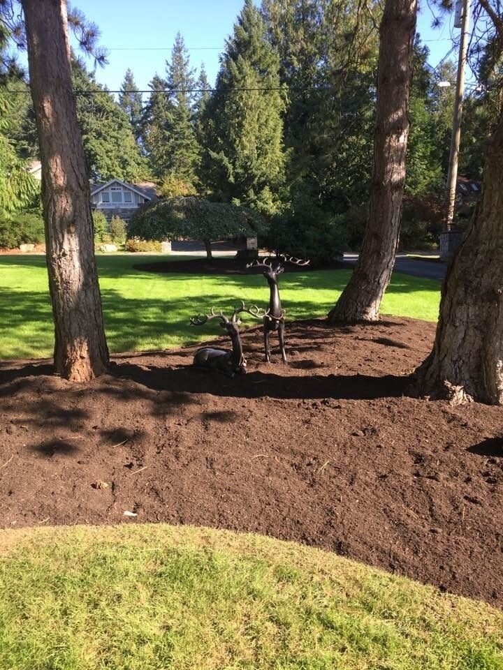 Terra Flourish Lawn & Garden Care Inc. | 2039 Ocean Ave W, Sidney, BC V8L 4S4, Canada | Phone: (250) 216-0020