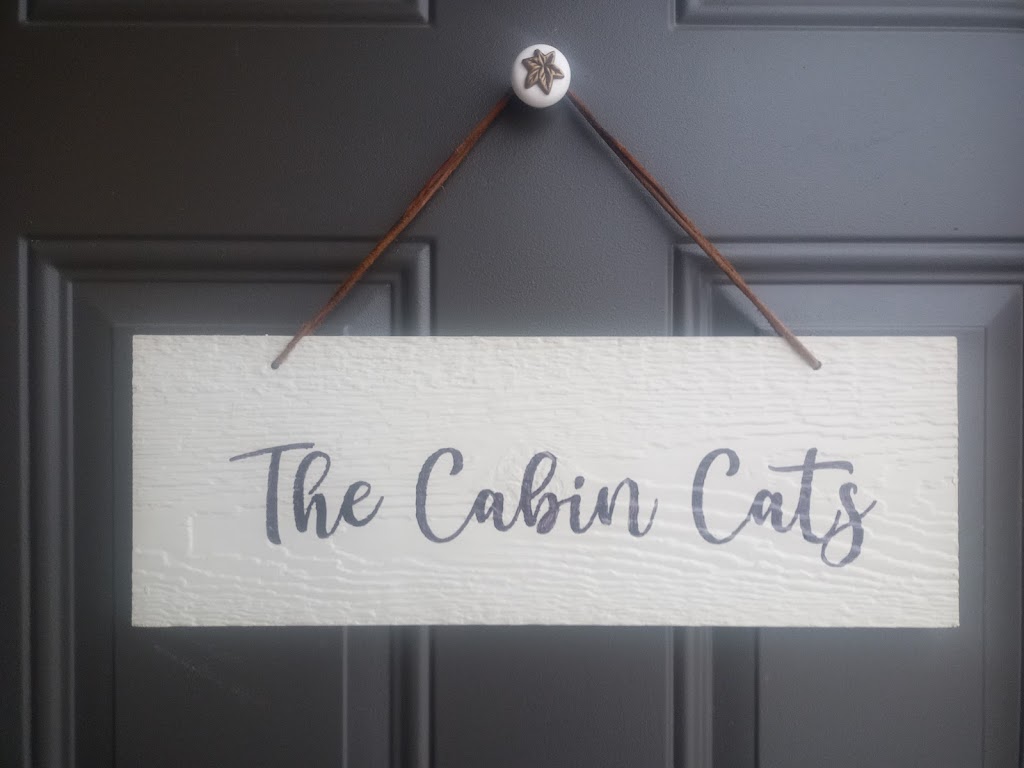 The Cabin Cats | By Appointment Only, 264022, Big Hl Spgs Ct, AB T4C 0E5, Canada | Phone: (403) 667-8372